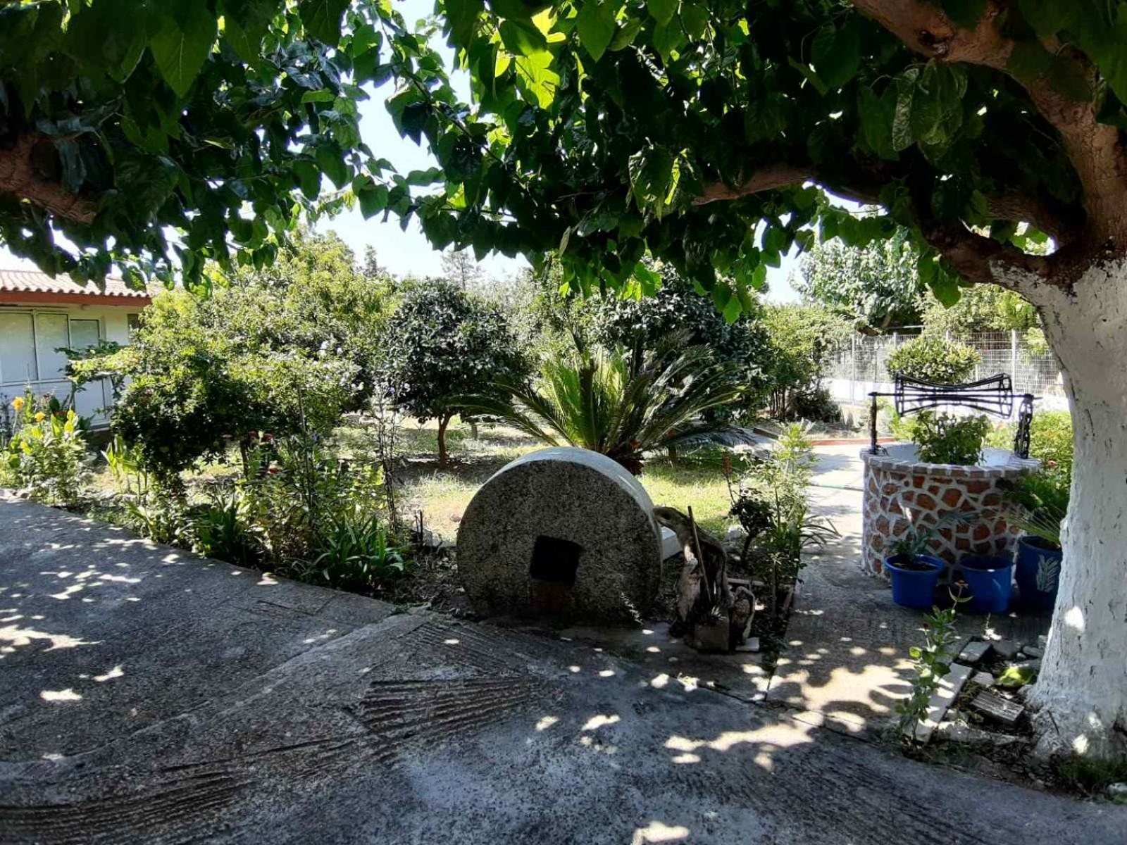 Glyfada'S Family Apartment Glyfada  Екстер'єр фото