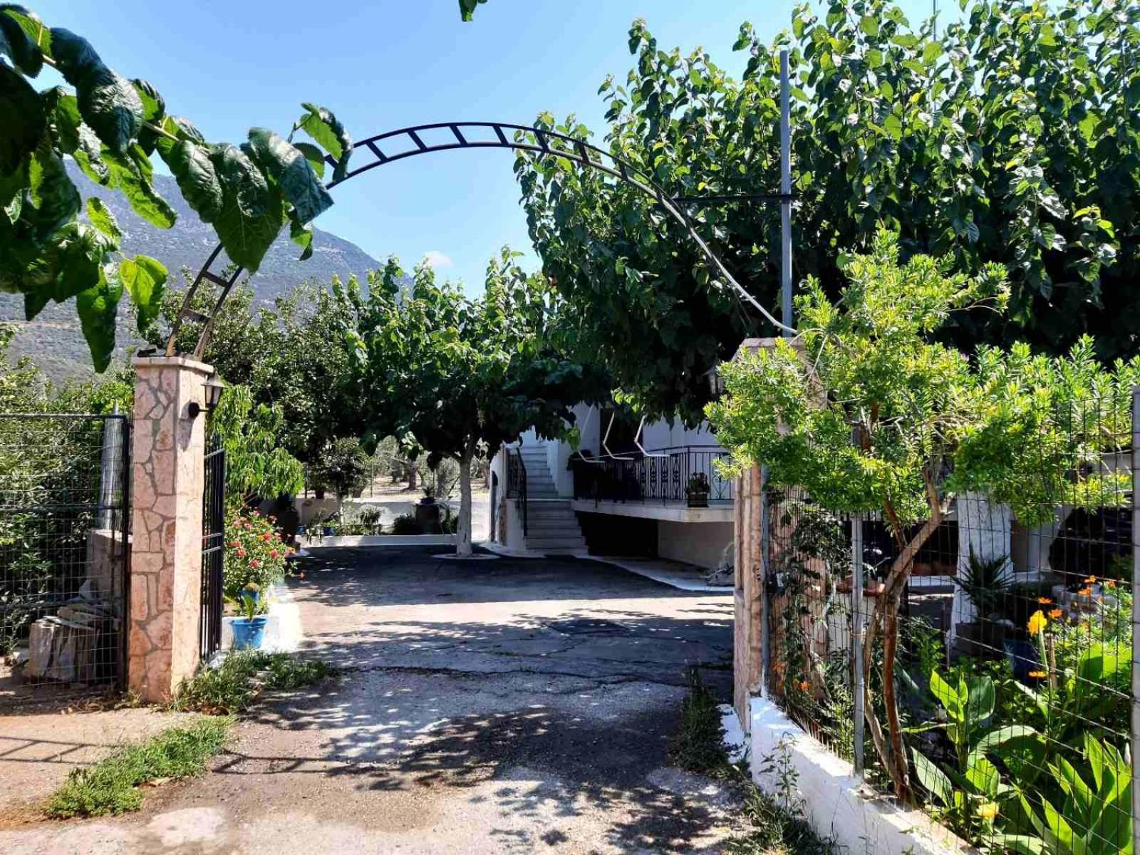 Glyfada'S Family Apartment Glyfada  Екстер'єр фото